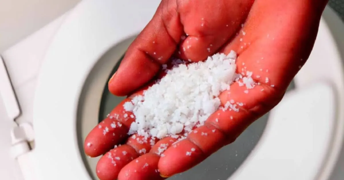 Badezimmer sauber und keimfrei halten: natürliche Alternativen zur chemischen Keule